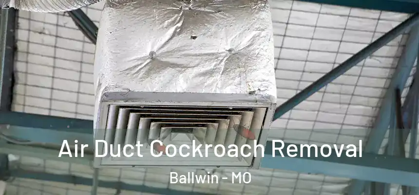 Air Duct Cockroach Removal Ballwin - MO