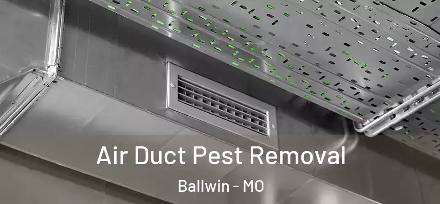  Air Duct Pest Removal Ballwin - MO