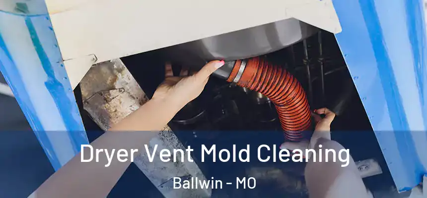 Dryer Vent Mold Cleaning Ballwin - MO