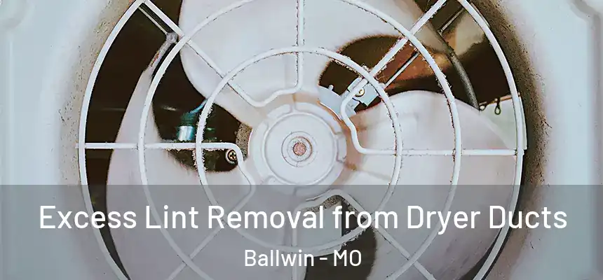 Excess Lint Removal from Dryer Ducts Ballwin - MO