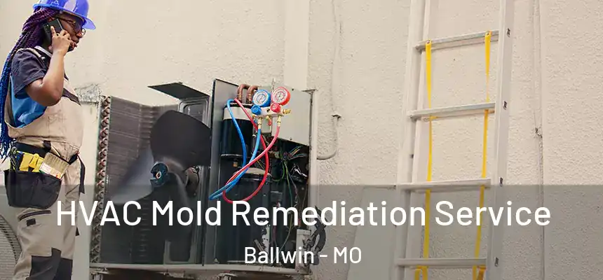 HVAC Mold Remediation Service Ballwin - MO