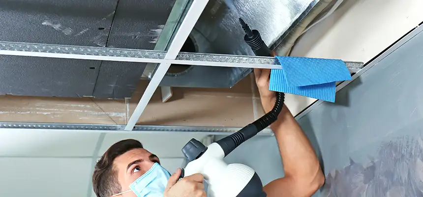 Our Air Duct Rodent Removal Services in Ballwin, MO