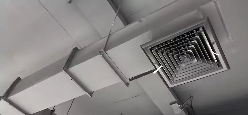 Our Rodent Droppings In Vents Services in Ballwin, MO