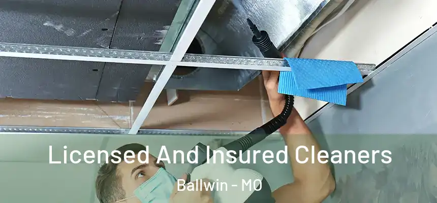 Licensed And Insured Cleaners Ballwin - MO