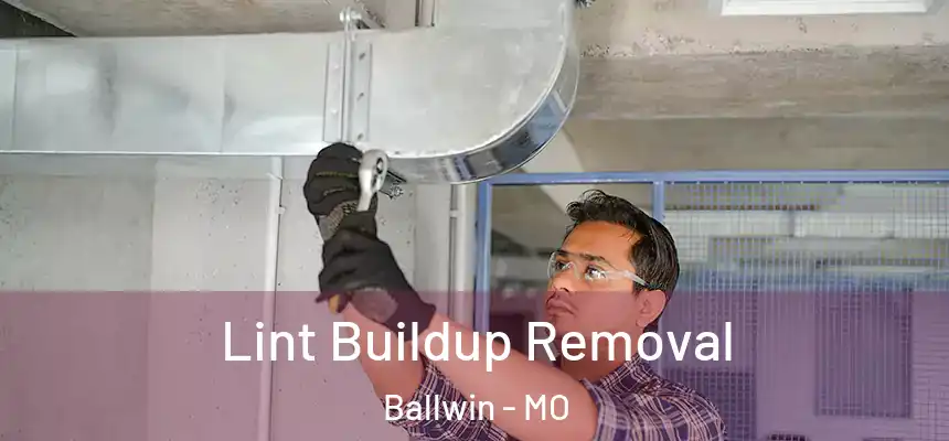  Lint Buildup Removal Ballwin - MO