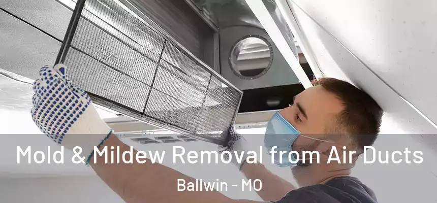  Mold & Mildew Removal from Air Ducts Ballwin - MO