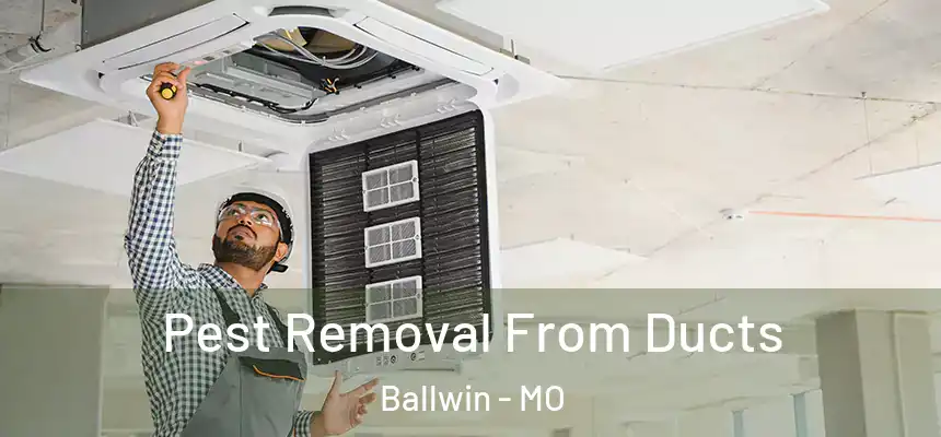 Pest Removal From Ducts Ballwin - MO