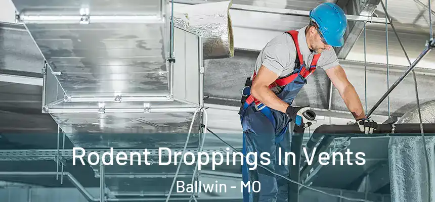  Rodent Droppings In Vents Ballwin - MO