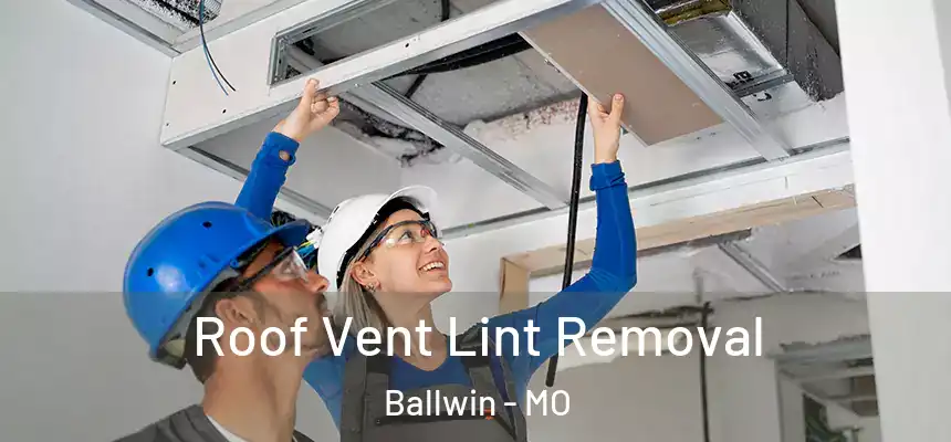  Roof Vent Lint Removal Ballwin - MO