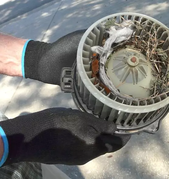 About Air Duct Rat Removal in Ballwin, MO