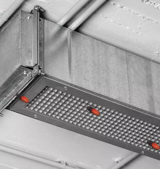 Affordable Insect Removal from Air Ducts in Ballwin, MO