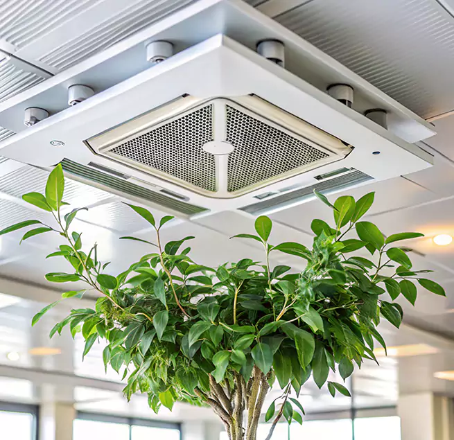 Why Homeowners & Businesses Trust Us in Ballwin, MO?